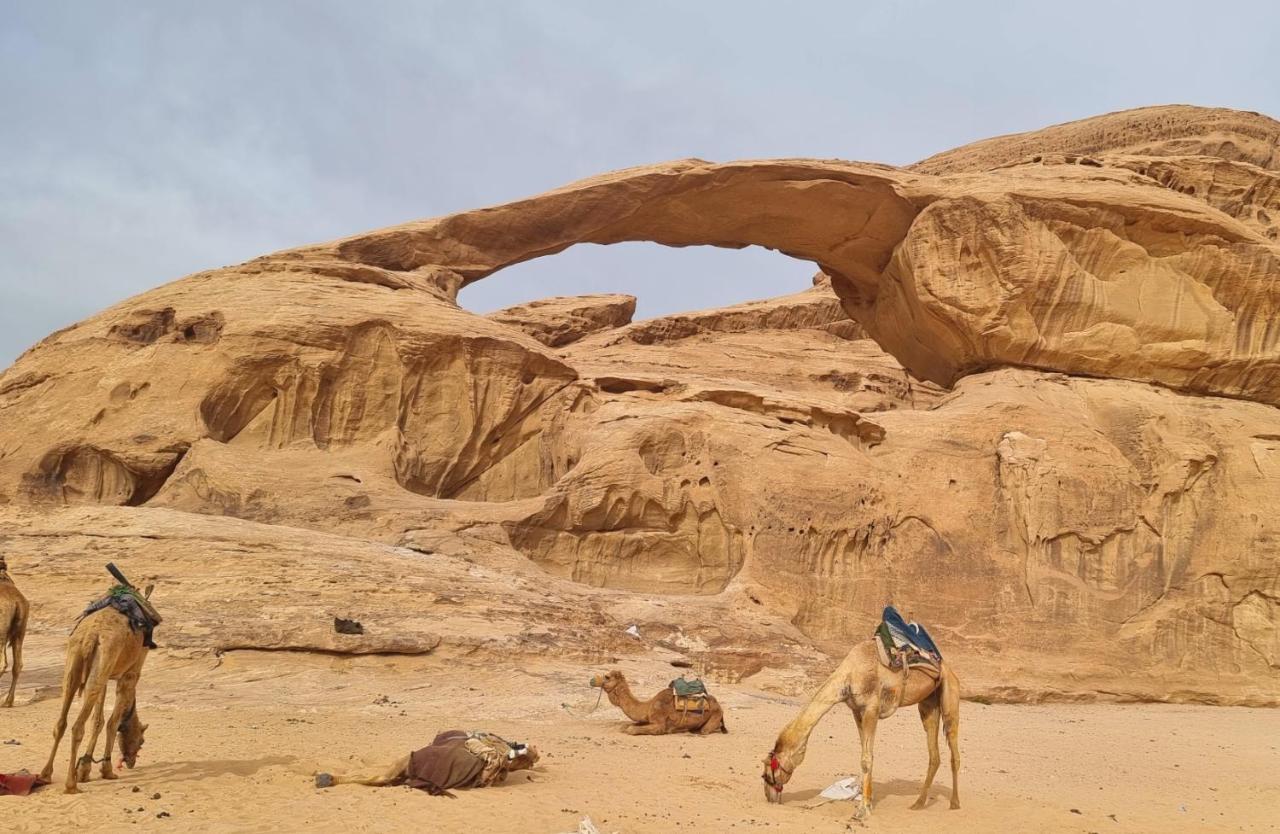 Wadi Rum Hugo Camp Zewnętrze zdjęcie